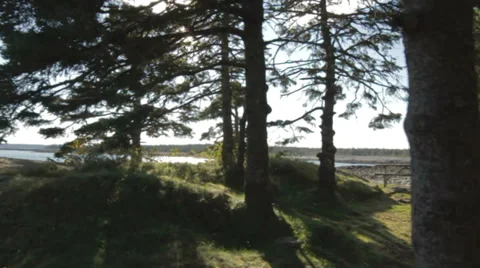 Picnic table next to ocean Stock Footage 28694856