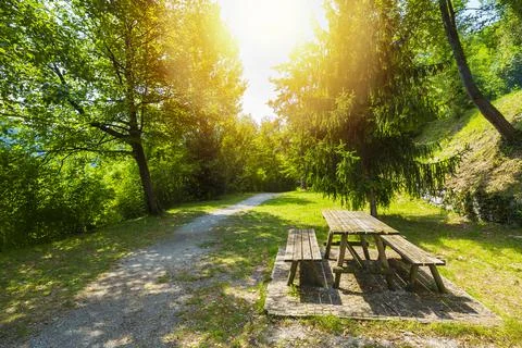 Picnic table next to a path in a forest, summer setting, sunflare effect. Stock Photos