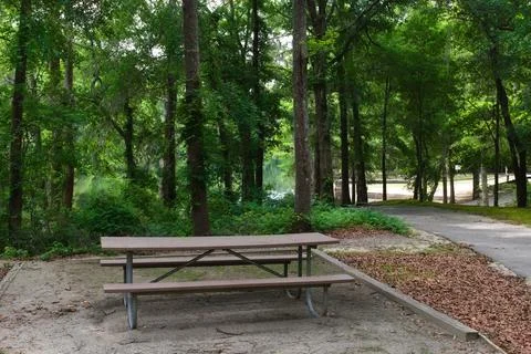 Picnic Table Overlooking the River Stock Photos