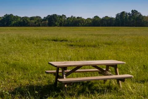 Picnic table in the park Stock Photos