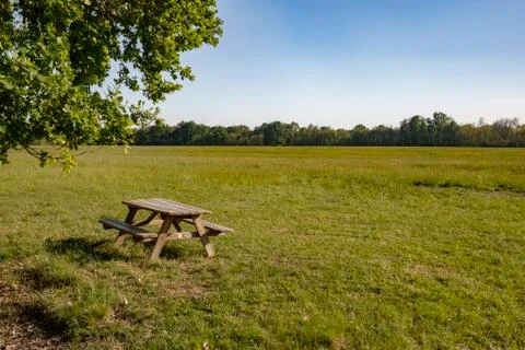 Picnic table in the park Foto stock