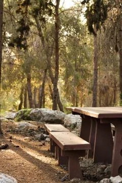 Picnic table . Stock Photos
