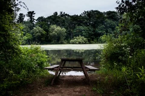 Picnic table at the pond Stock Photos