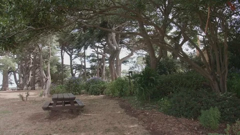 Picnic table in pubic park, no people Stock Footage 87726597