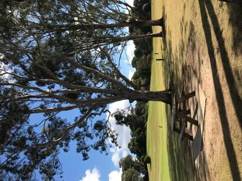 Picnic table setting Foto stock