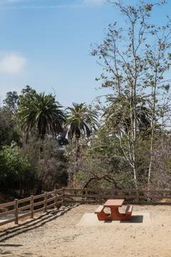 Picnic table at the summer park Stock Photos