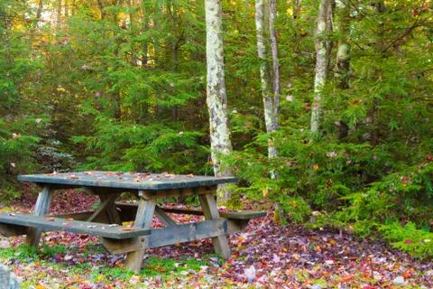 Picnic table surrounded in fall foliage Stock Photos