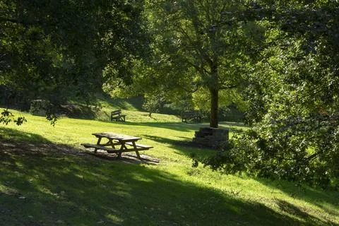 Picnic table in a tree shadow on a nice green meadow Stock Photos