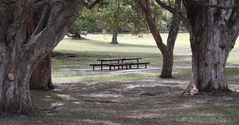Picnic table under tree shade in the park in 4K Stock Footage 85312522