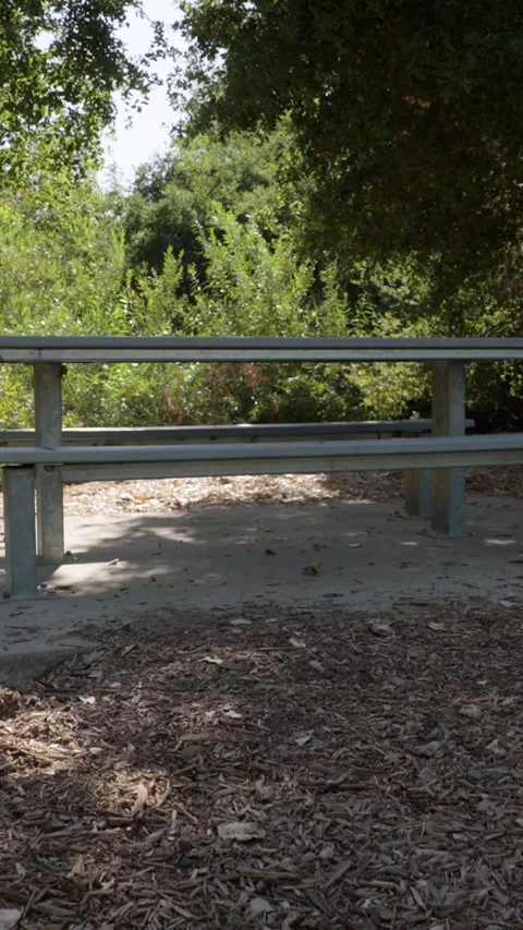 Picnic table in wilderness camera booms up vertical video Stockbeeldmateriaal 289692183