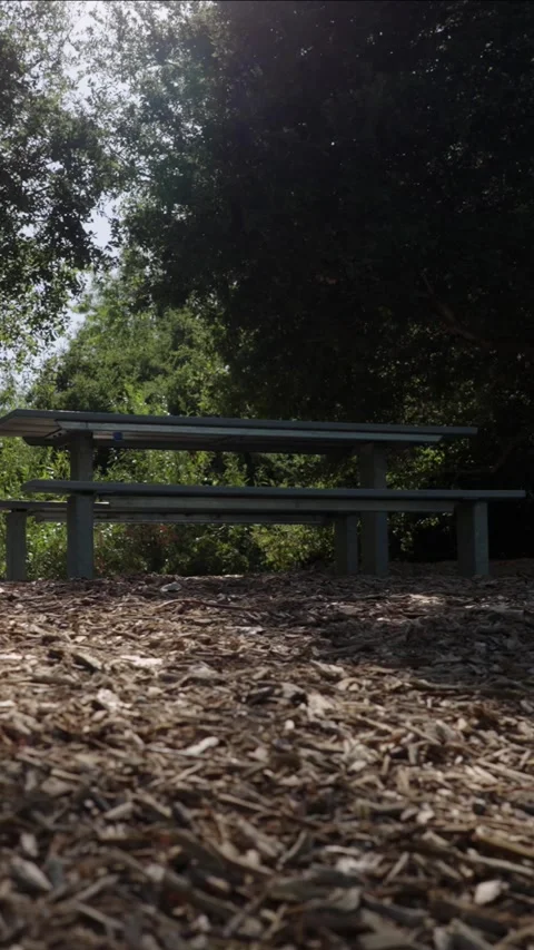 Picnic table in wilderness low tracking shot vertical video Video stock 289693595