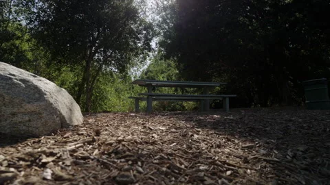Picnic table in wilderness low tracking shot Stock Footage 289696295