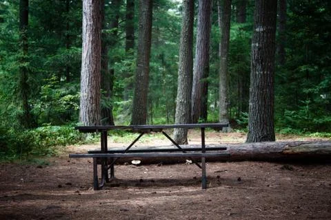 Picnic table in the wilderness Stock Photos