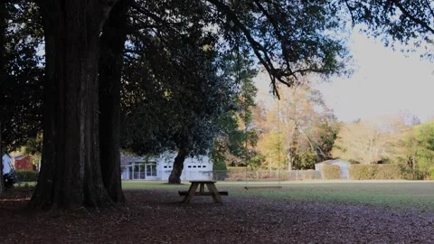 Picnic table in a yard and swing in the country during Fall in Georgia Stock Footage 258664965