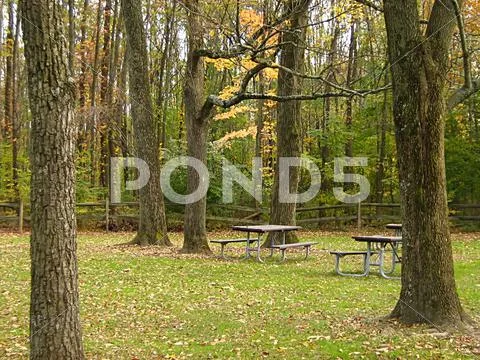 Picnic Tables In Autumn Stock Photos