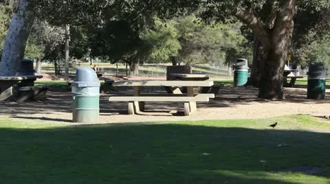 Picnic Tables Video stock 20458581