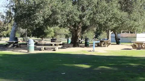 Picnic Tables Video stock 20458952