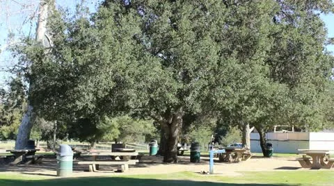 Picnic Tables Stock Footage 20459510
