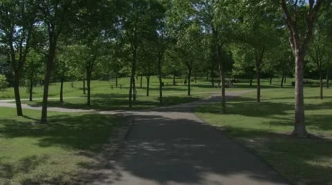 Picnic Trail Video stock 11115319