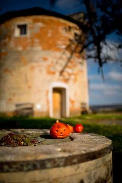 Picnic under a decorated deciduous tree in the background a stone windmill... Stock Photos