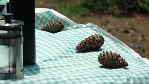 Picnic On A Windy Day Stock Footage 156082145