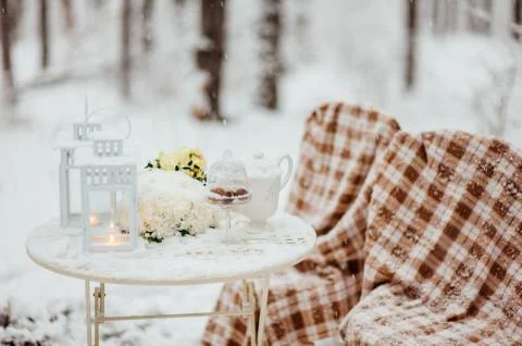 Picnic in the winter forest Fotos Stock
