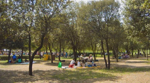Picnic In The Woods Of A Park Stock Footage 63765357