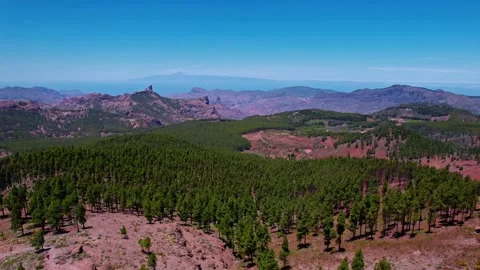 Pico de las Nieves mountain landscape with pine forest Stock Footage 305533731