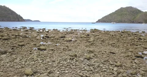 Pico de Loro Stock Footage 308136455