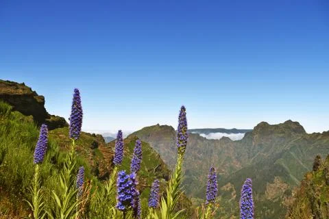 Pico Do Arieiro. Stock Photos