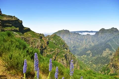 Pico Do Arieiro. Stock Photos