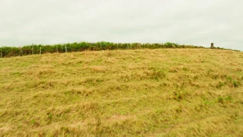 Pico Dona Joana, Patchwork Fields. Terceira Island, Azores Stock Footage 346305454