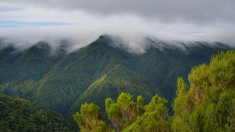 PICO RUIVO CLOSE UP Stock Footage 292271847