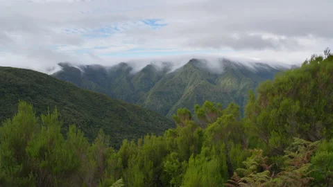 PICO RUIVO Stock Footage 292272786
