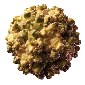 Picobirnavirus particle Stock Illustration