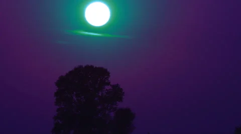 The picthuresqy moon above tree, time lapse 스톡 동영상 48987728