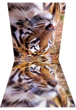 Picture to artwork Stock Illustration