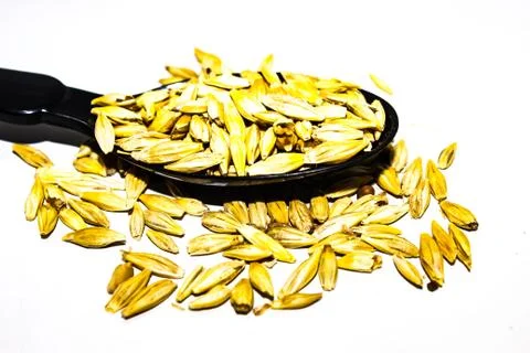 A picture of barley corn Stock Photos