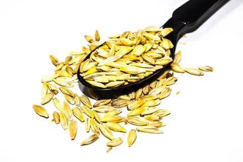 A picture of barley corn Stock Photos