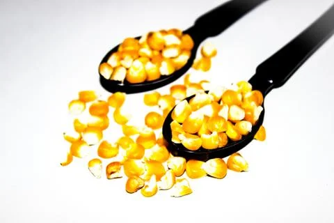 A picture of barley corn Stock Photos