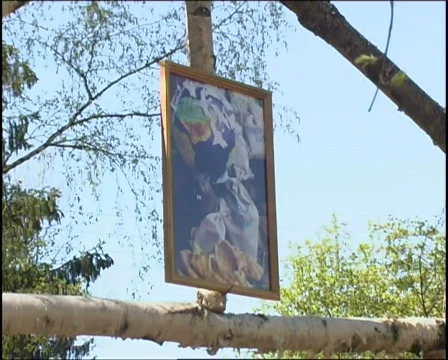 Picture on a birch Video stock 654456