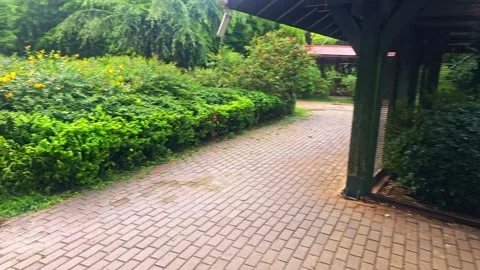 A picture a bird in. Stock-Footage 282630935