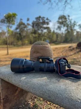 A picture of a camera and camera support bean bag with forest in the backgrou Stock Photos