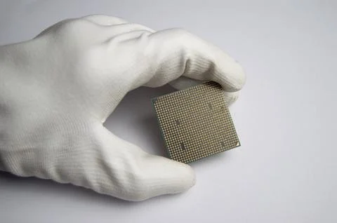 Picture of CPU chip in hand, CPU with many pins, on white background. Stock Photos
