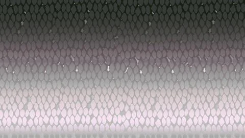 Picture of fish texture Stock Illustration