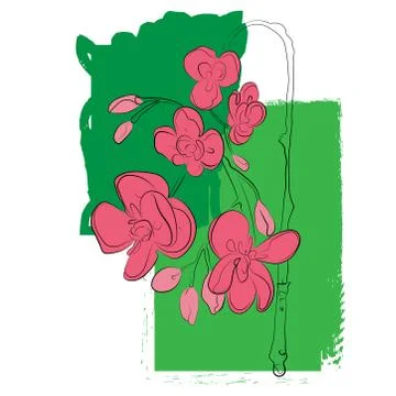 Picture of flowers on a white background. Vector Stock Illustration