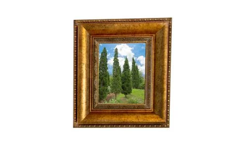 Picture frame 스톡 사진