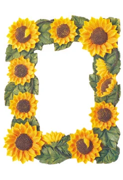 Picture Frame Stock Photos