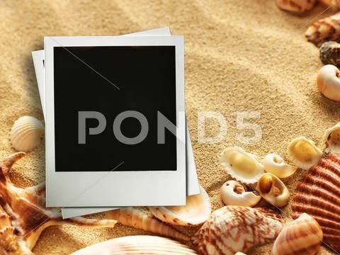 Picture frame on shells and sand background Stock Photos