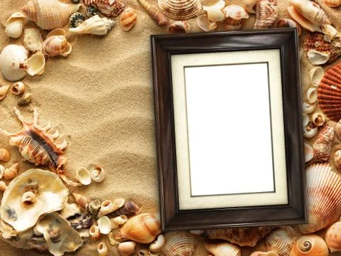 Picture frame on shells and sand background Stock Photos